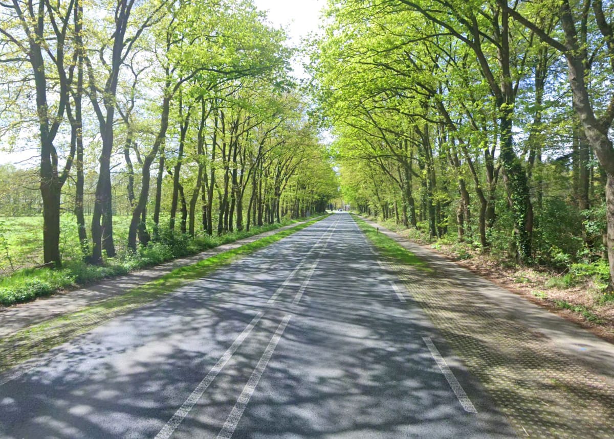 'Meer licht maakt het onveiliger': Provincie reageert op zorgen over donker N416-fietspad