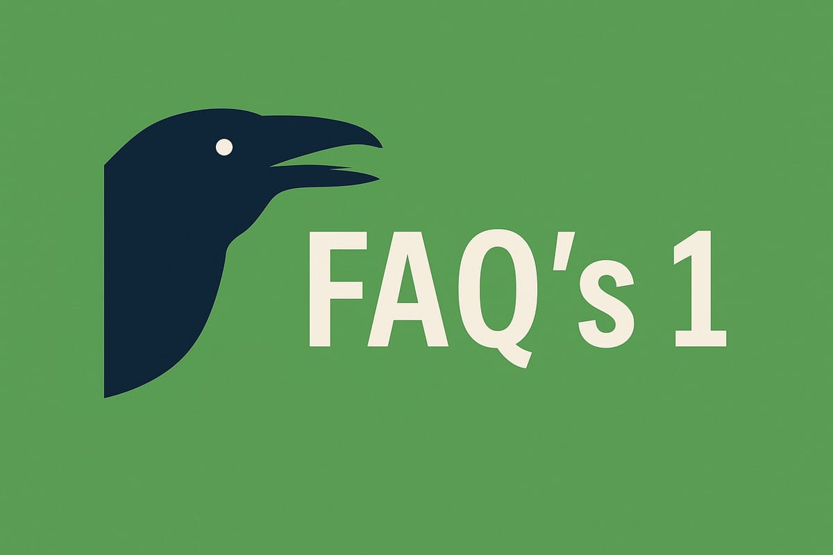 Wat doet de Rhenense Raaf en wat niet?