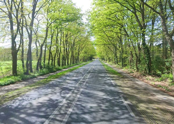 'Meer licht maakt het onveiliger': Provincie reageert op zorgen over donker N416-fietspad
