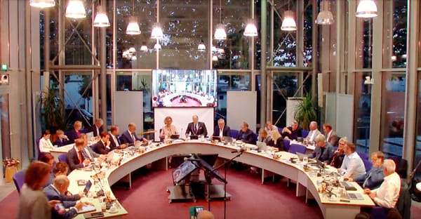 Rhenense Raaf #5 – Spreidingswet zet raad op scherp, Salari start nieuwe partij