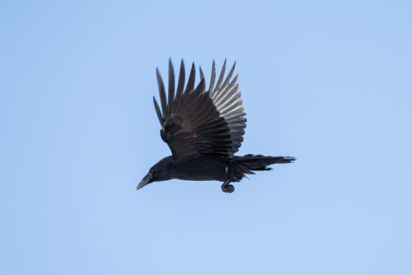 Deze week geen nieuwsbrief – maar wél jouw mening